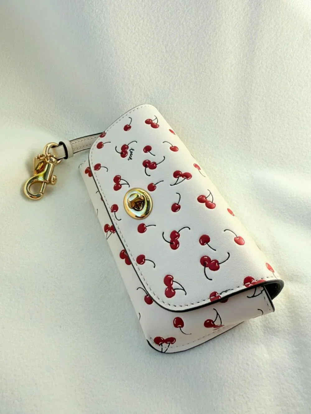 coach Sunglass Case With Cherry Print cfa49